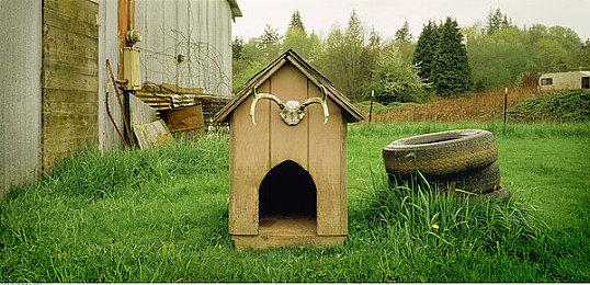 TGA 2023：《COCOON》荣获最佳首发独立游戏